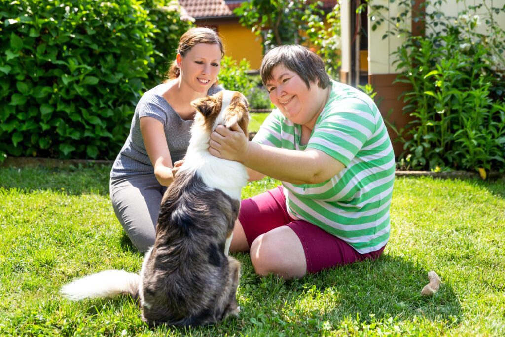 Companionship Care